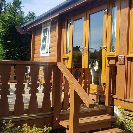 Cabin Apartman Trawsfynydd Kültér fotó